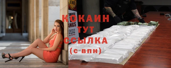 прущие грибы Анива
