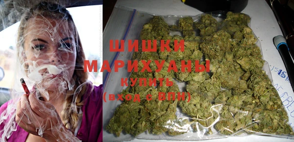 стаф Новодвинск