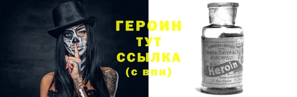 стаф Новодвинск