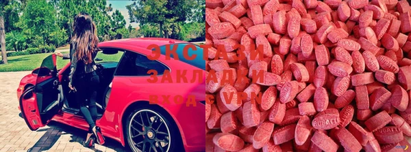 стаф Новодвинск