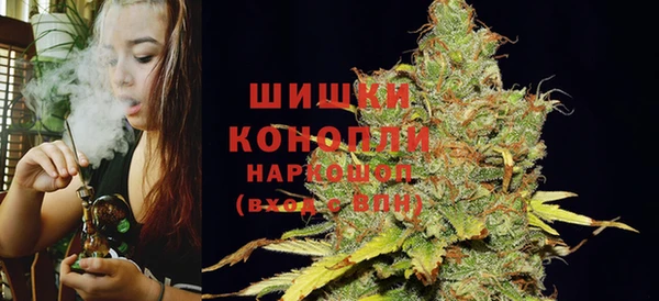 стаф Новодвинск