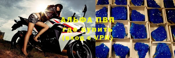 прущие грибы Анива