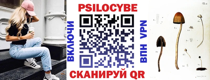 Галлюциногенные грибы Psilocybe  Бабушкин 