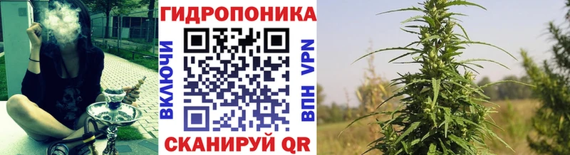 Бошки Шишки VHQ  гидра вход  Бабушкин  даркнет сайт 